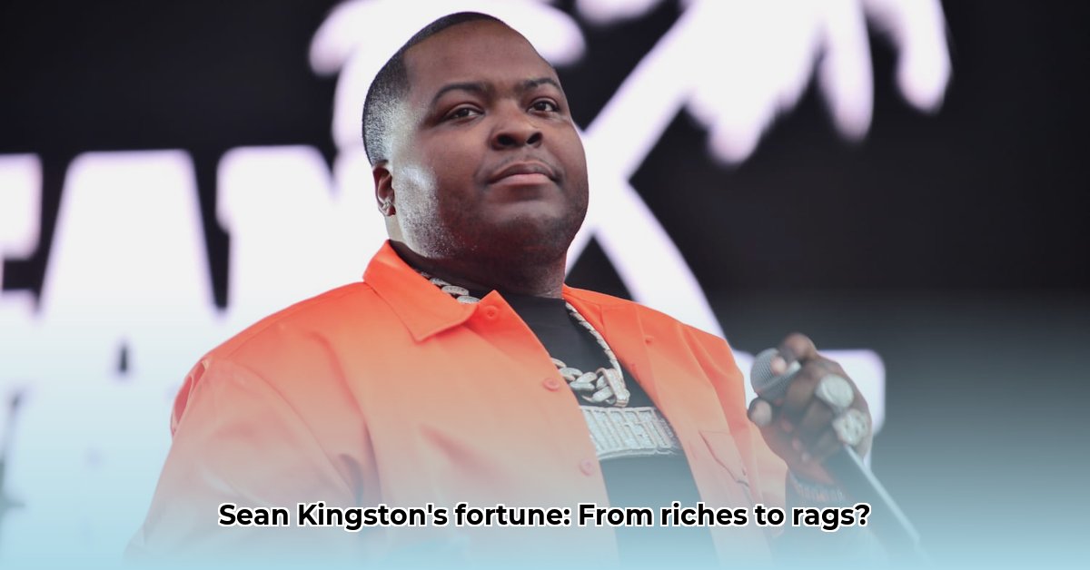 sean-kingston-wealth-after-conviction